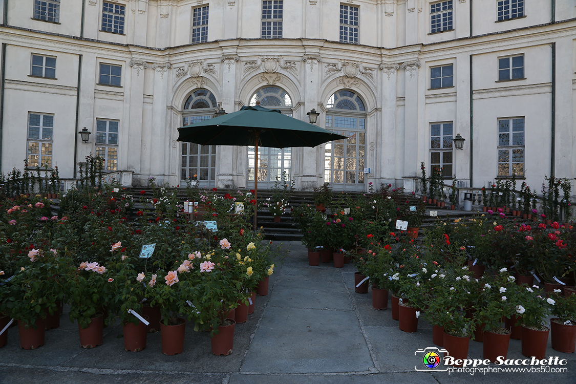 VBS_2419 - FloReal 2021 alla Palazzina di Caccia di Stupinigi.jpg